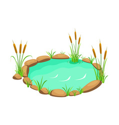 Lake With Reeds And Stones Pond In Cartoon Style