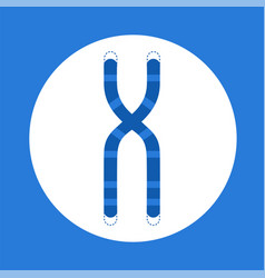 Telomere End Of Chromosome