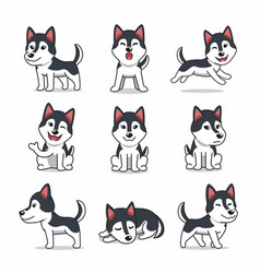 Cartoon Character Set Of Siberian Husky Dog