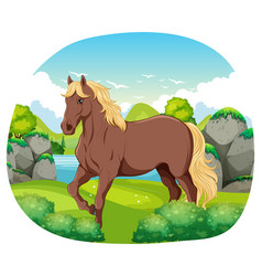 Brown Horse In Nature Outdoor