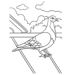 Pigeon Coloring Page For Kids