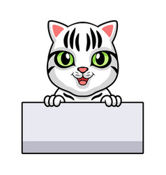 Cute American Short Hair Cat Cartoon Holding Blank