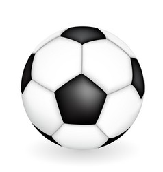 Naturalistic 3d Kind Of Soccer Ball