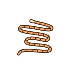 Tapeworm Cestoda Concept Colored Icon