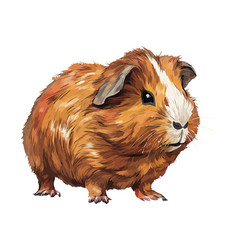 Fluffy Small Pets Cute Guinea Pigs