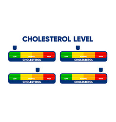 Cholesterol Level Meter With Low And High Fat Test