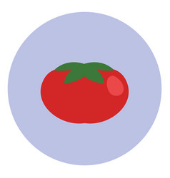 Red Tomato On A White Background