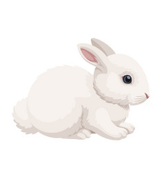 Cute White Bunny Sitting Side View Rabbit