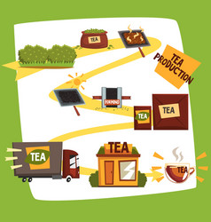 Tea production tea manufacturing process from Vector Image