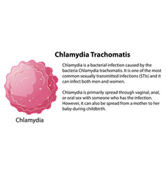 Chlamydia Trachomatis With Explanation