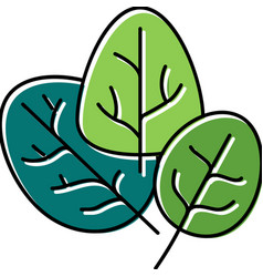 Spinach Plant Color Icon