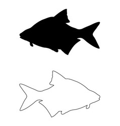 Common Bream Silhouette