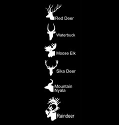 Deer Head Collection Silhouette