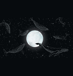 Whale Wallpaper Ocean Animal And Moon Line Art