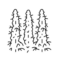 Cannabis Field Line Icon