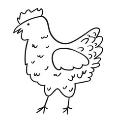 Farm Animal Bird Chicken