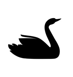 Black Silhouette Swan Largest Flying Bird Swim