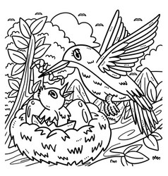 Mother Bird And Fledgling Coloring Page For Kids