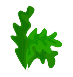 Spinach leaves icon cartoon style Royalty Free Vector Image