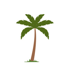 Cartoon Palm Tree Beach Coconuts Tree