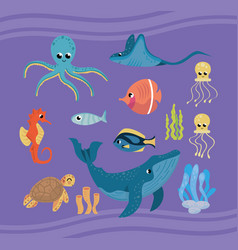 Thirteen Sealife Animals