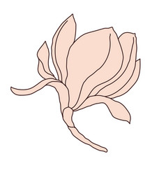 Magnolia Flower Monoline Art