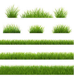 Green Grass Border With White Background