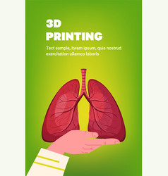 Hand Holding Human Transplantation Lungs Organ