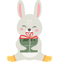 Rabbit With Gift