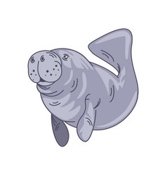 Cute Cartoon Manatee