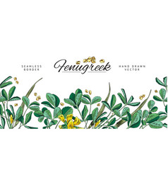 Fenugreek Plant Hand Drawn Seamless Border