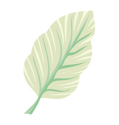 Leaf Icon Isolated