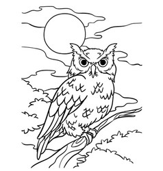 Owl Coloring Page For Kids