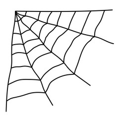 Spider Web