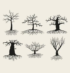 Bare Tree Silhouettes With Roots