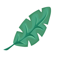 Tropical Leaf Icon