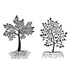 Black Trees And Roots Silhouettes With Leaves Set