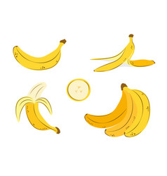 Cartoon Banana Line Drawing Set