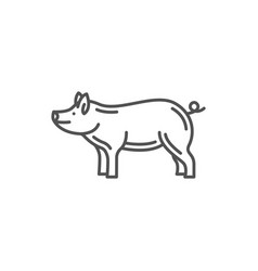 Pig Chinese Horoscope Sign New Year Animal Linear