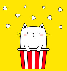 Cat In Popcorn Box Kitten And Movie Pop Corn