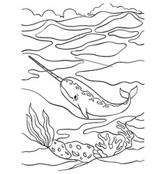 Narwhal Coloring Page For Kids