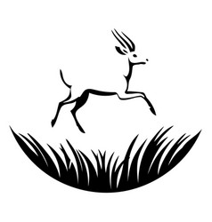 Antelope In The Grass Of Nature