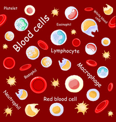 Seamless Pattern Red And White Blood Cells