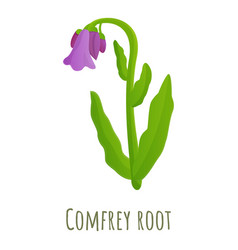 Comfrey Root Icon Cartoon Style