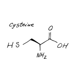 Cysteine Chemistry Molecule Formula Hand Drawn