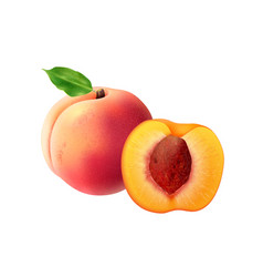 Realistic Peach Fruit Composition