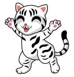 Cute American Short Hair Cat Cartoon Standing