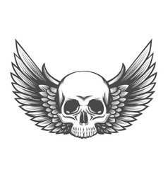 Human Skull With Wings Engraving