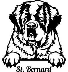 Peeking Saint Bernard - Dog Lover Owner Gift