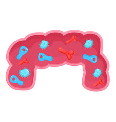 Bacteria And Viruses Living In Human Intestine